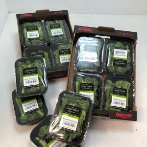 Broccoli 
