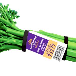 Broccoli Chinese