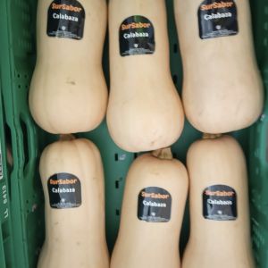 Calabaza Piezas 