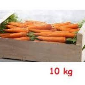 Carrot 