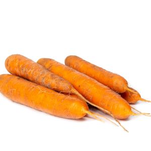 Carrot Nantaise