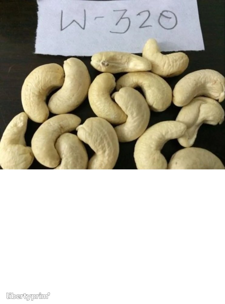 Cashew Nut Class 1 Benin Import & Export Ste Agis Sarl Libertyprim