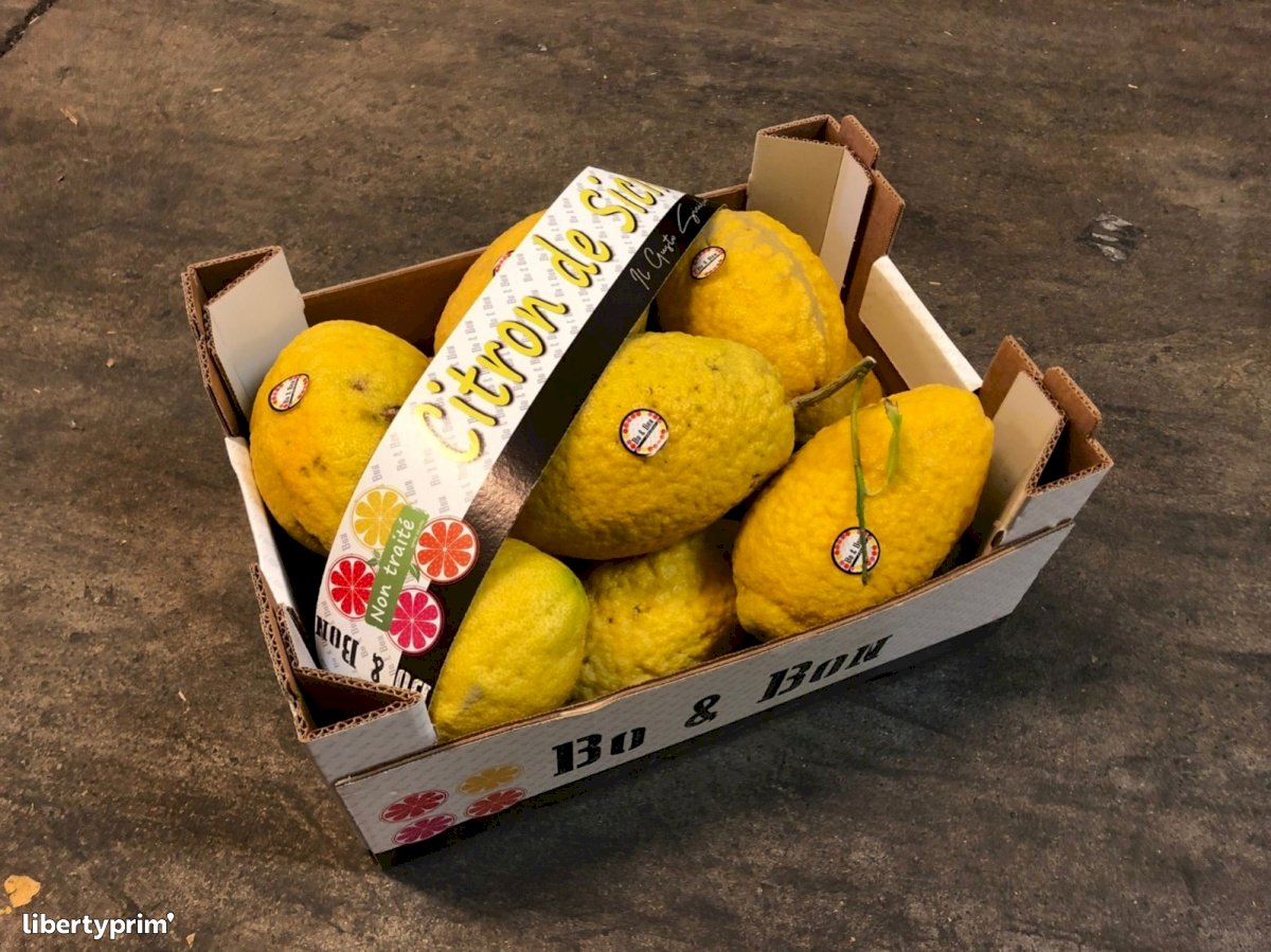 Citron Extra Italy Conventional Grower - Peruzzo | Libertyprim