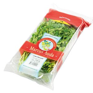 Chervil 
