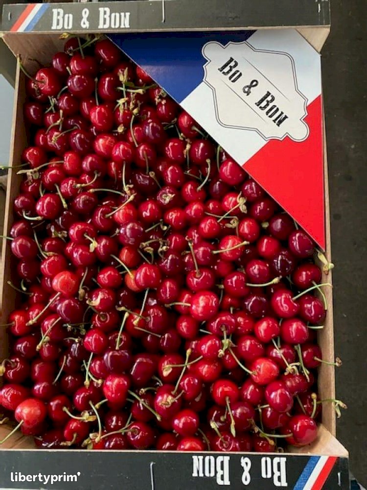 Cherry Extra France Conventional Grower - Peruzzo | Libertyprim