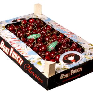 Cherry 