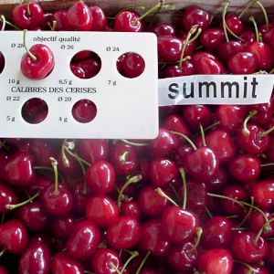 Cherry Summit