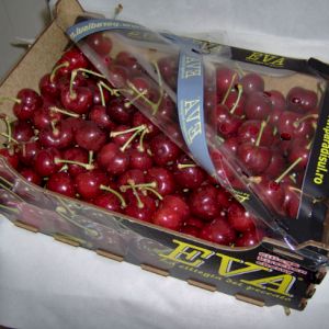 Cherry Van
