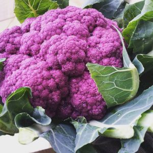Cabbage Purple Cauliflower