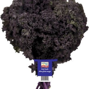 Cabbage Kale