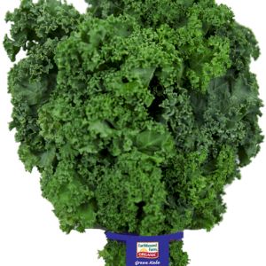 Cabbage Kale