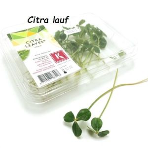 Citra Leaves 