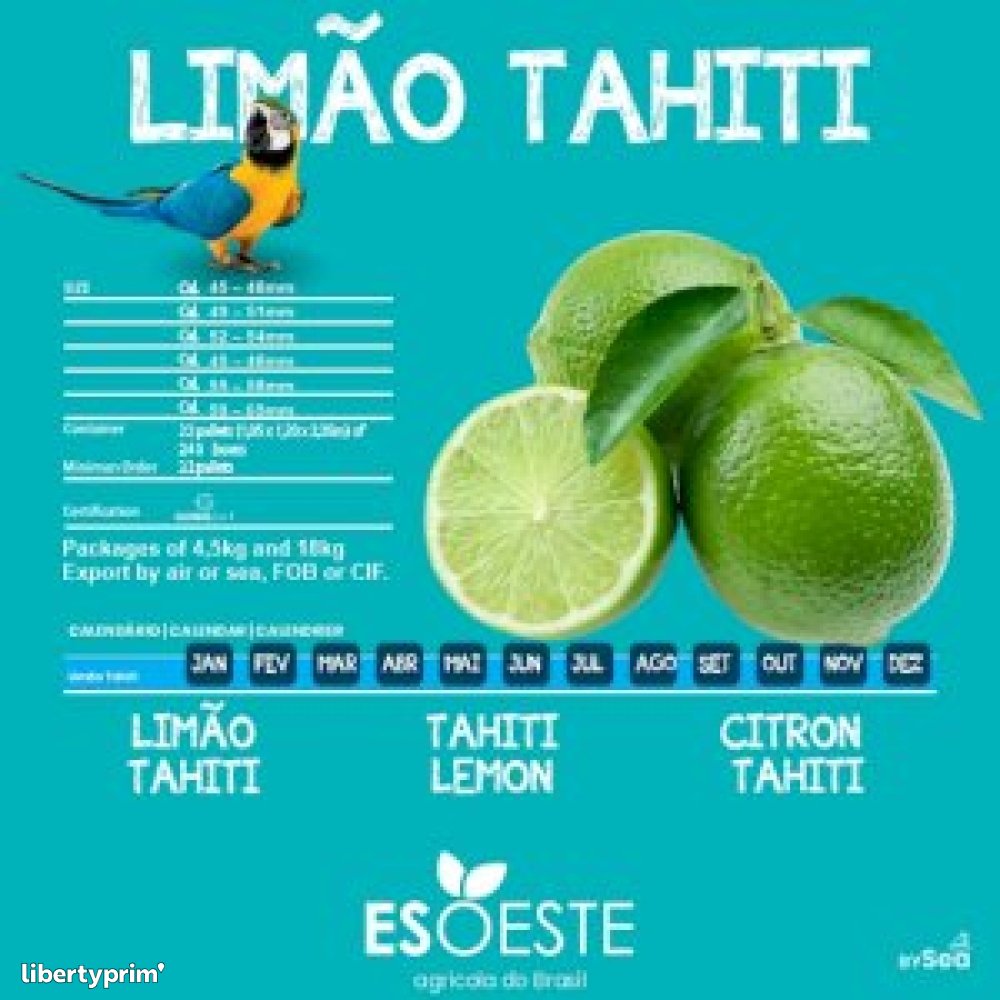 Lemon Brazil Import & Export - Esoeste Fruits | Libertyprim