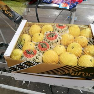 Lemon Eureka