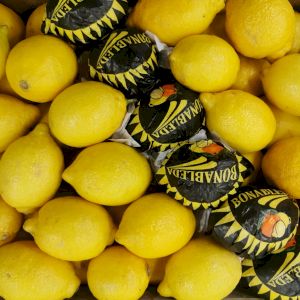 Lemon Primofiore