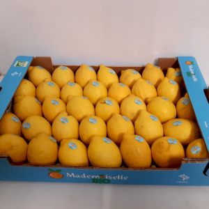 Lemon Verna