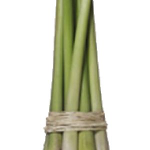 Hierba Limón 