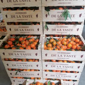 Clementin 