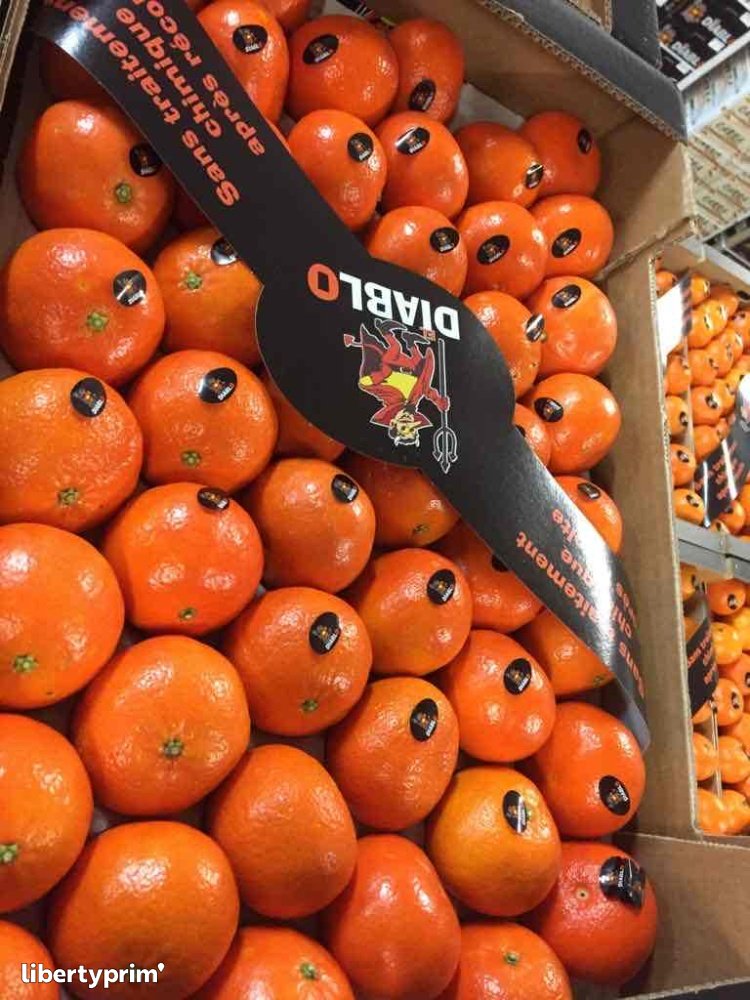 Clementin Spain Producer TERRE HEFRUITS Libertyprim