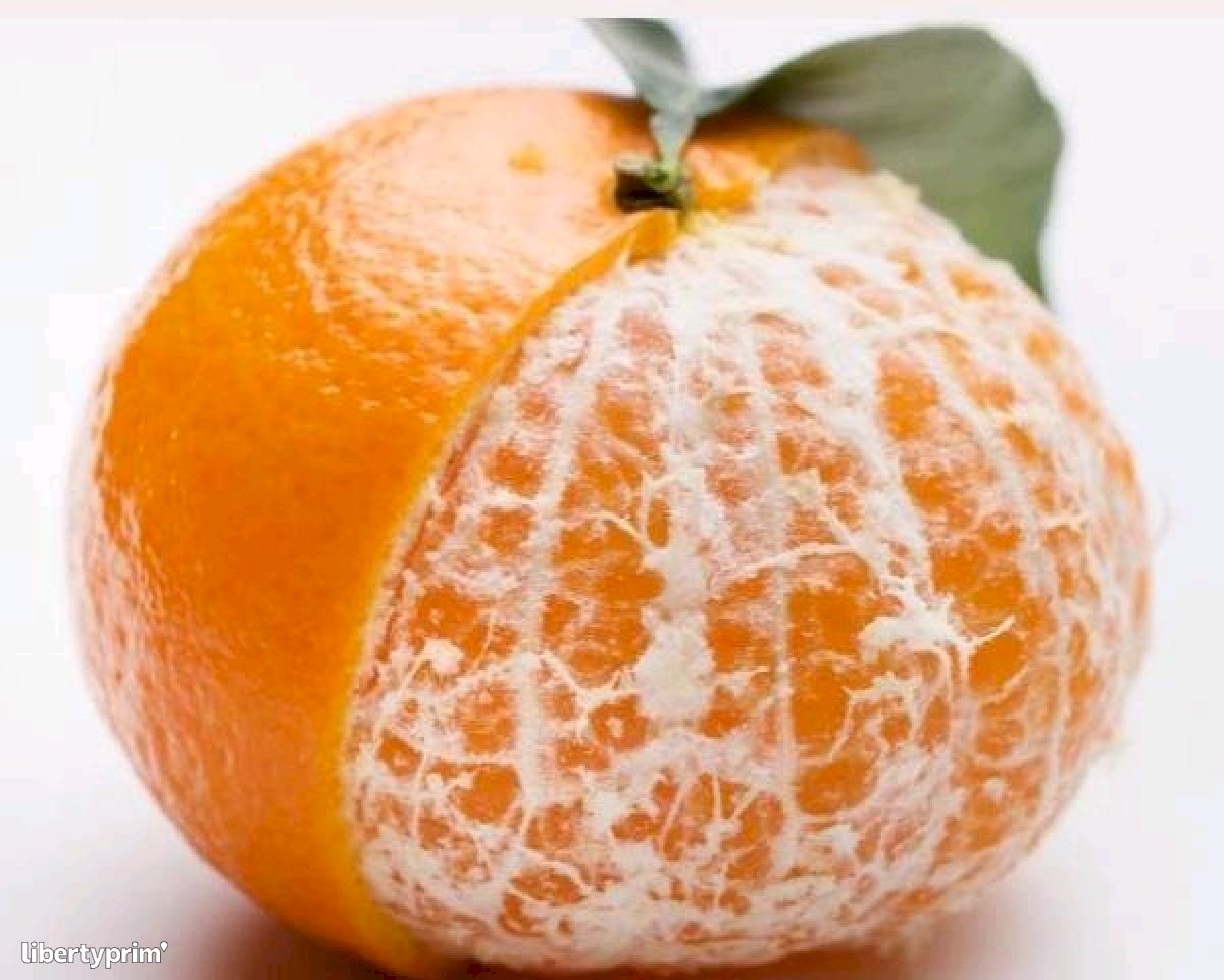 Clementin Ortanique Class 1 Morocco Exporter - copacplant | Libertyprim