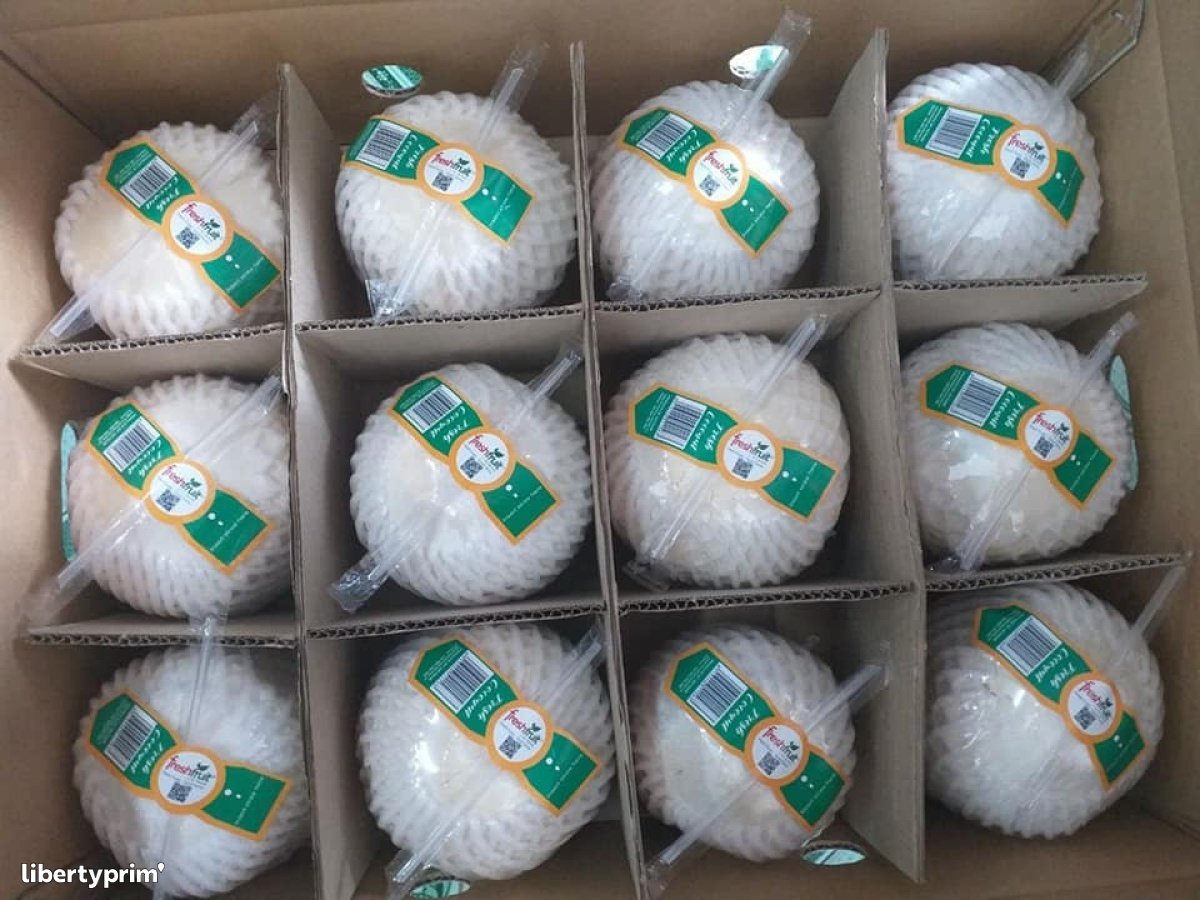 Coconut Vietnam Wholesaler Sunrise INS LTD Libertyprim