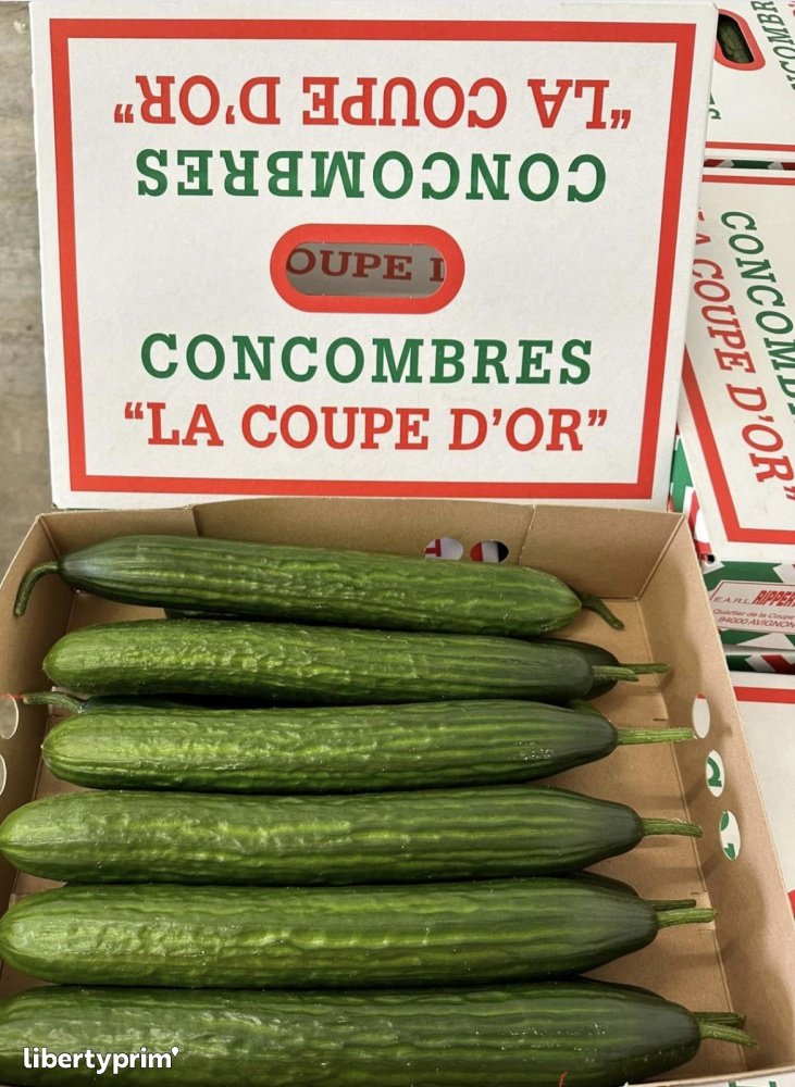 Cucumber Long Class 1 France Producer - RIPPERT & FILS | Libertyprim
