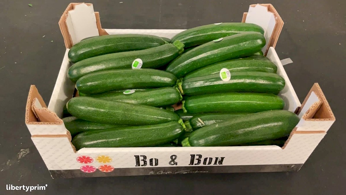 Zucchini Italy Conventional Grower - Peruzzo | Libertyprim