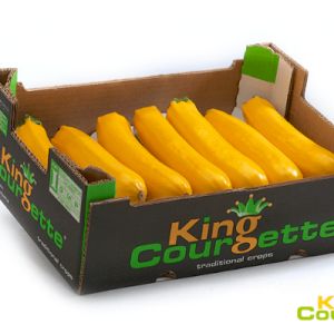 Zucchini Long Yellow