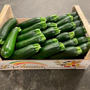 Zucchini Long Green