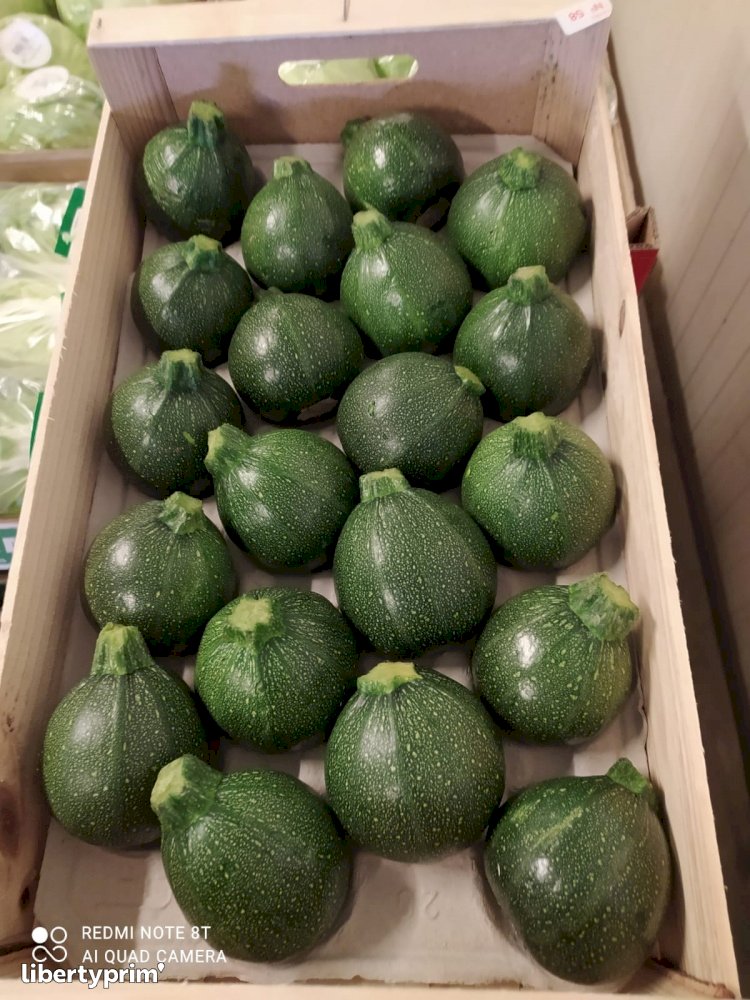 Zucchini Round Class 1 Spain Conventional Grower - Peruzzo | Libertyprim