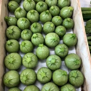 Zucchini Green Round