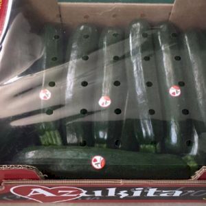 Zucchini 