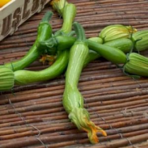 Zucchini Trumpet