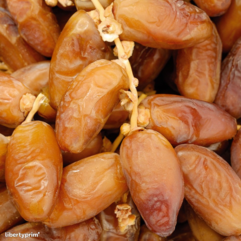 Date Deglet Nour Extra Tunisia Import & Export - agrolim | Libertyprim