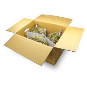 Durian 