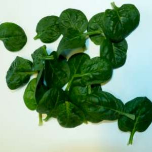 Spinach Sprout