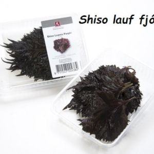 Shiso Leaves Red