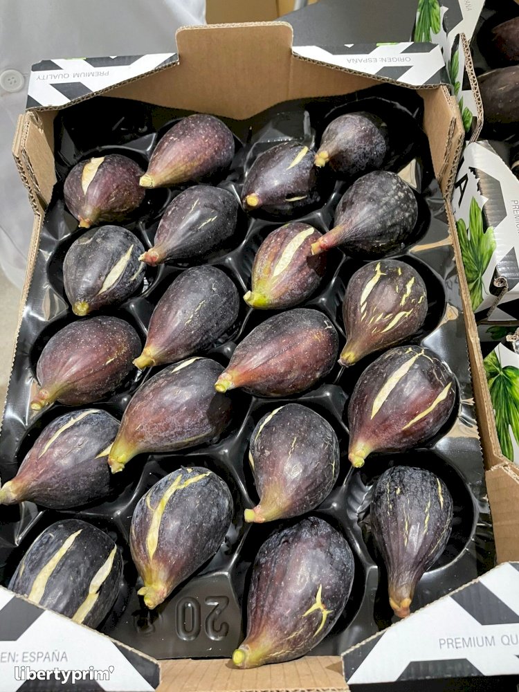 Fig Class 1 Italy Producer - Peruzzo Group | Libertyprim