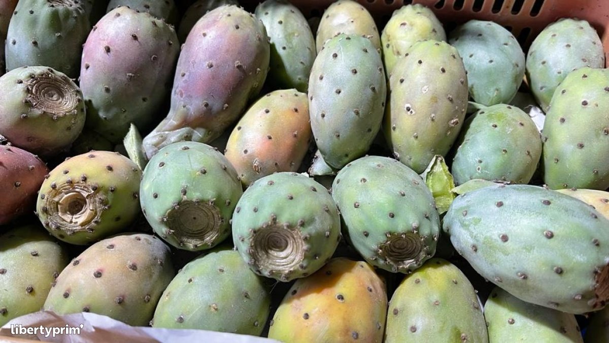 Prickly Pear Extra Tunisia Import & Export - agrolim | Libertyprim
