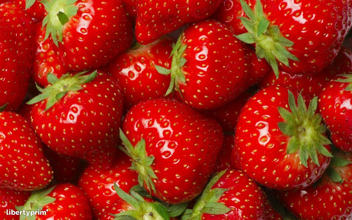 Strawberry Extra France Import & Export - Sas Pasquet | Libertyprim
