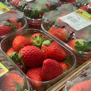 Strawberry Fortuna