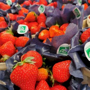 Strawberry Gariguette