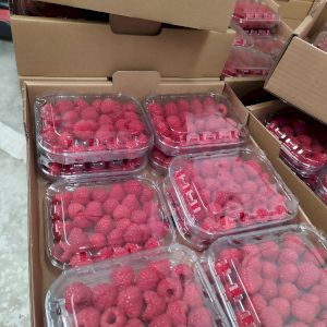 Raspberry 