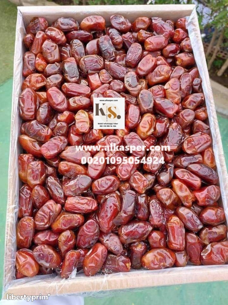 Fresh Date Class 1 Egypt Import & Export alkasper for supplies