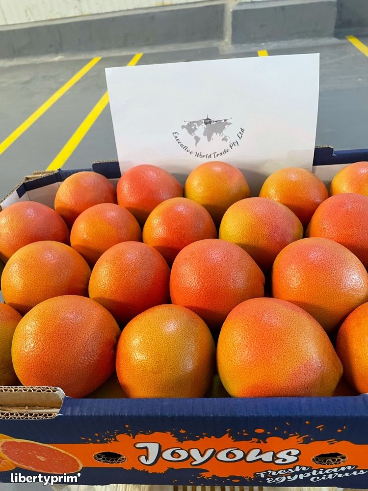 Grapefruit StarRuby Class 1 Egypt Import & Export Executive World