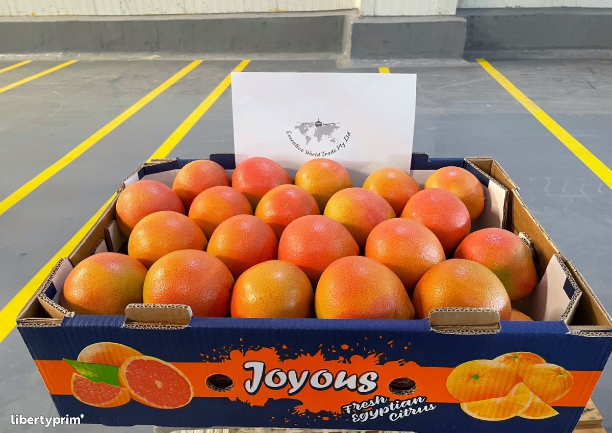 Grapefruit StarRuby Class 1 Egypt Import & Export Executive World