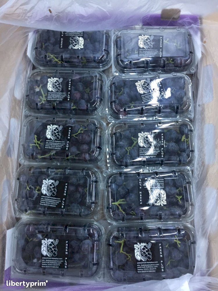 Grapes Black Seedless Extra Egypt Exporter - iso | Libertyprim