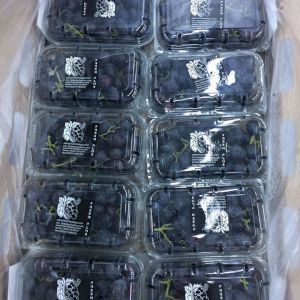Grapes Black Seedless