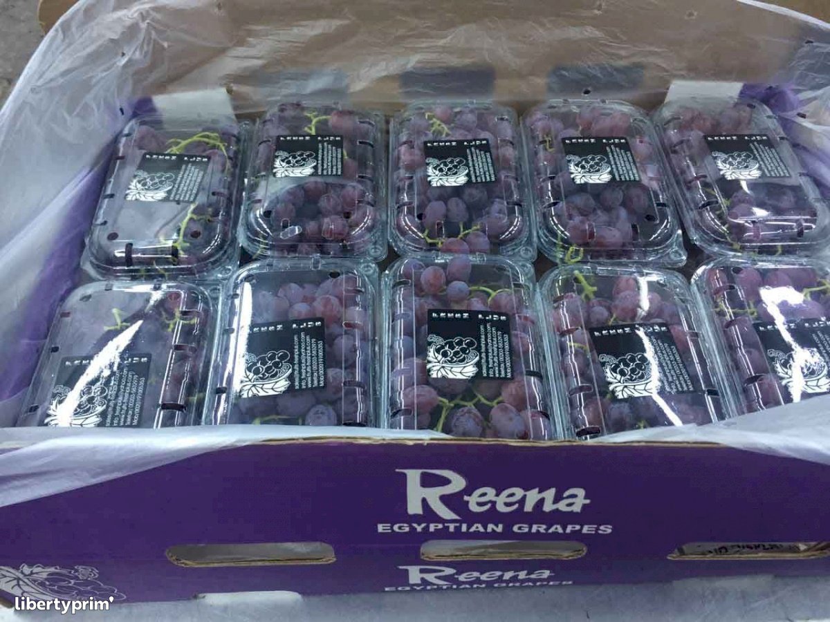 Grapes Crimson Seedless Class 1 Egypt Exporter - iso | Libertyprim