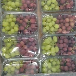 Grapes Flame Seedless